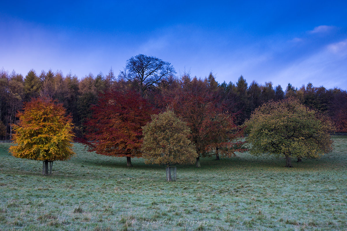 Autumn in the Peak District Peak District Photography James Grant