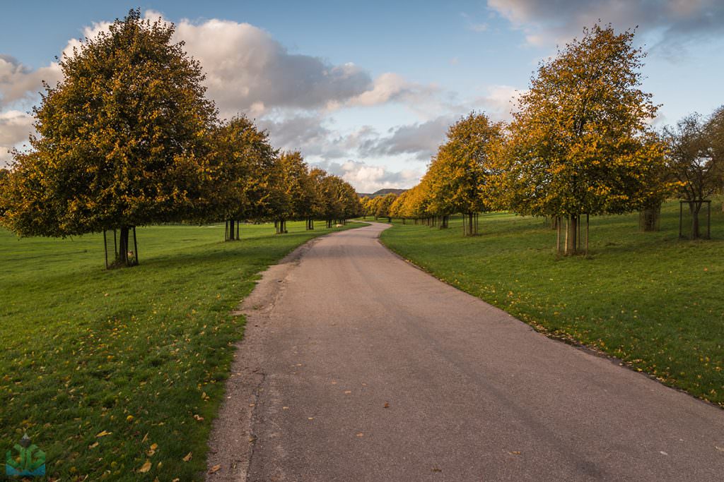 Chatsworth Autumn Trees - Autumn In The Peak District