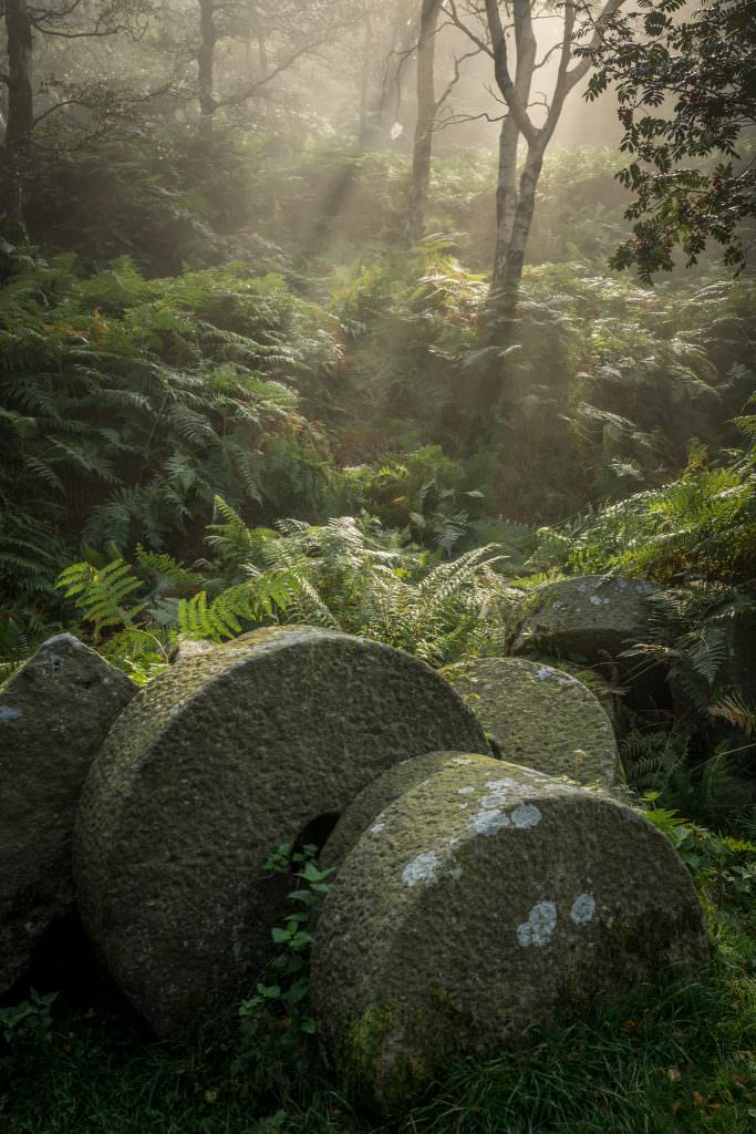 Bolehill Millstones in the Mist - Peak District Photography