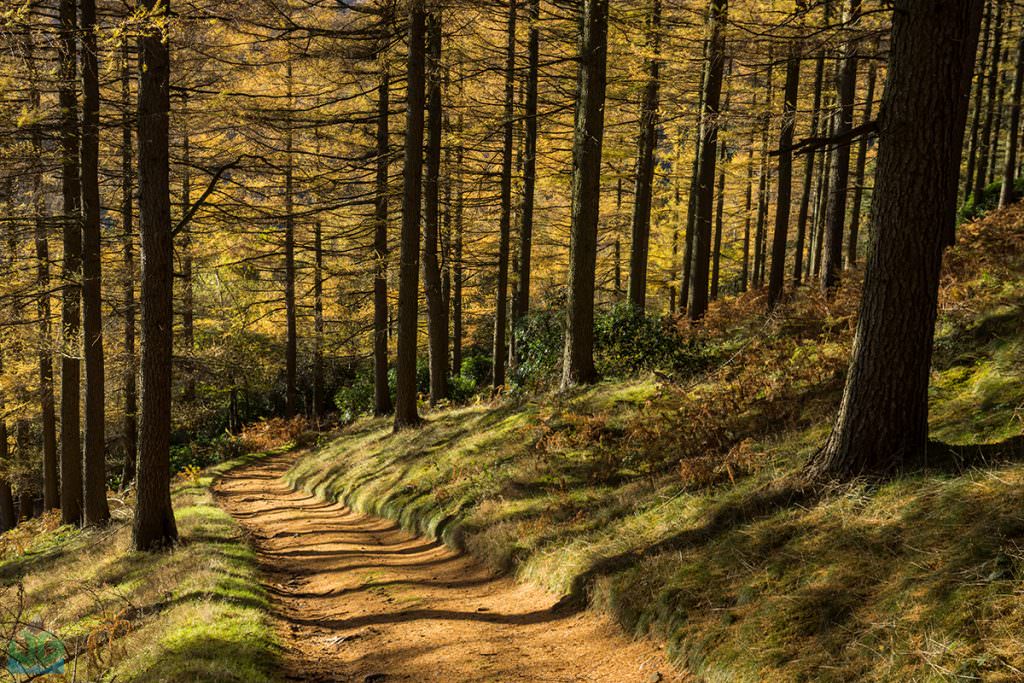 Nether Hey - Autumn in the Peak District