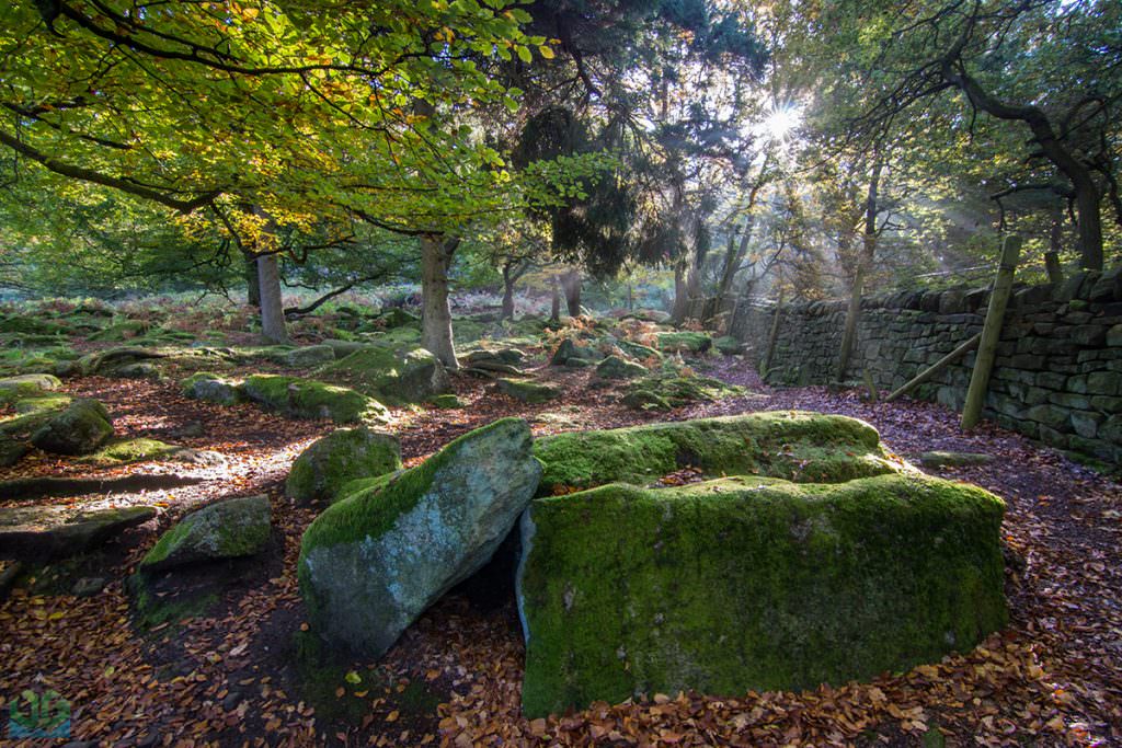 Padley Gorge - Autumn in the Peak District