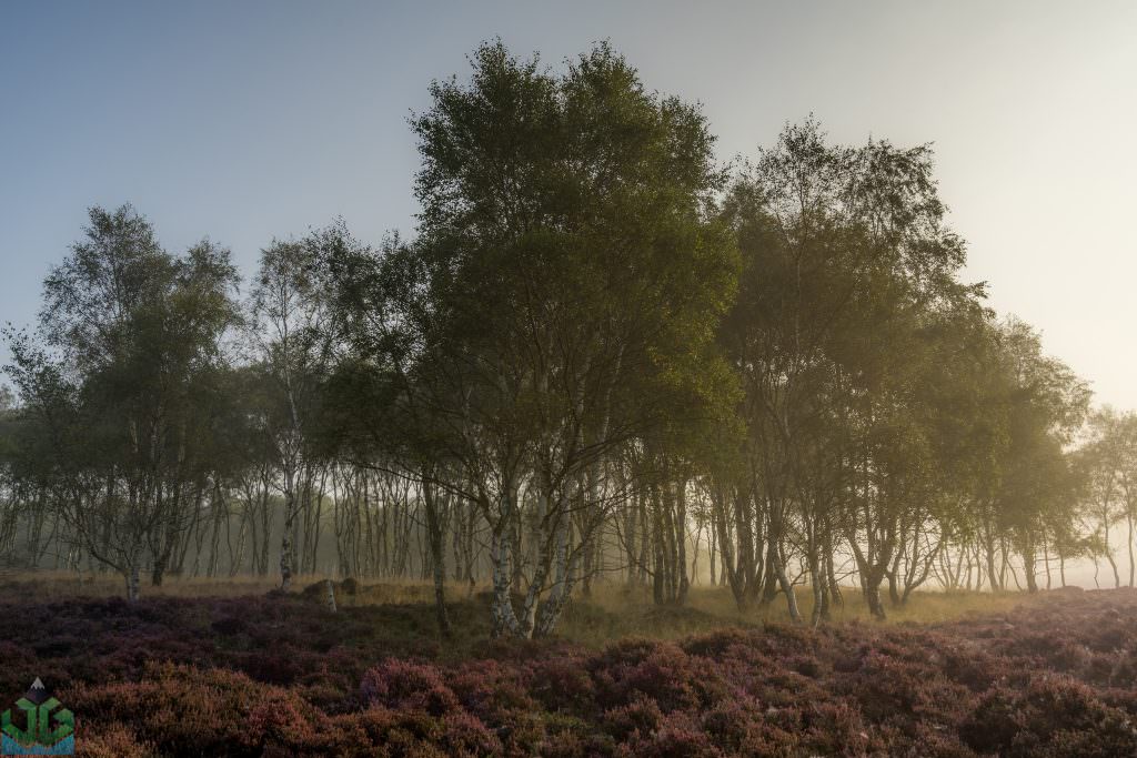 Surprise View in the Mist - Peak District Photography