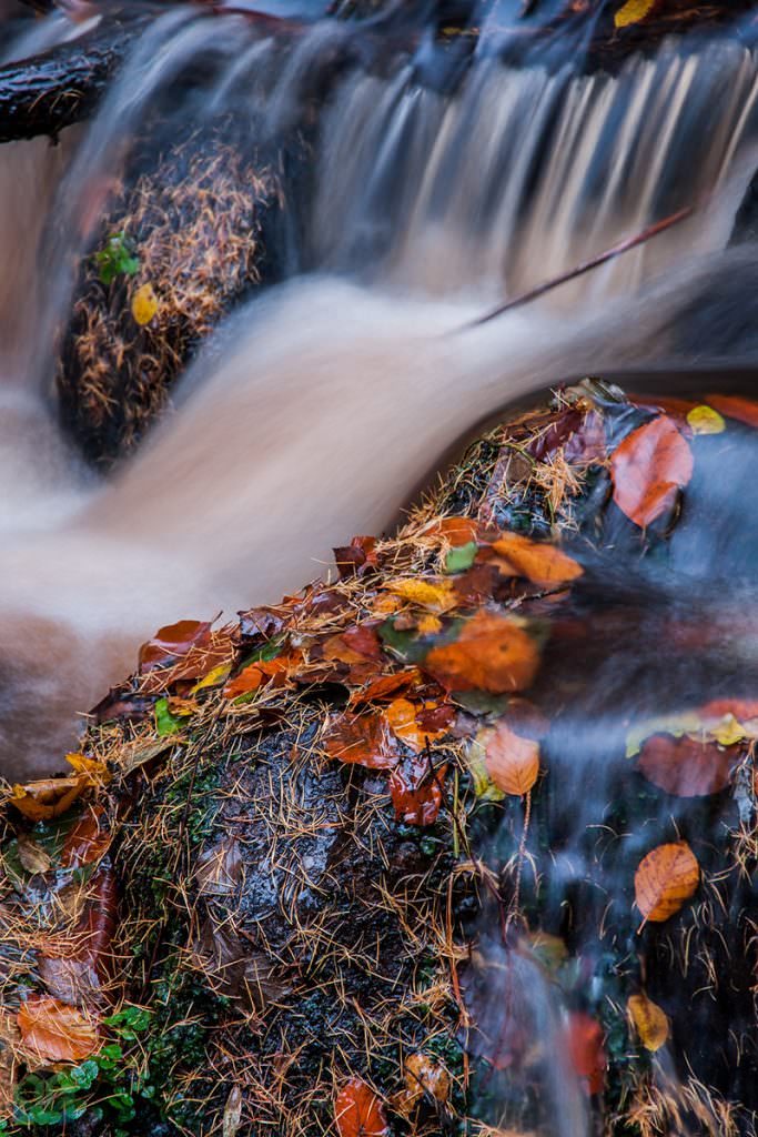 Wyming Brook Stream - Autumn in the Peak District