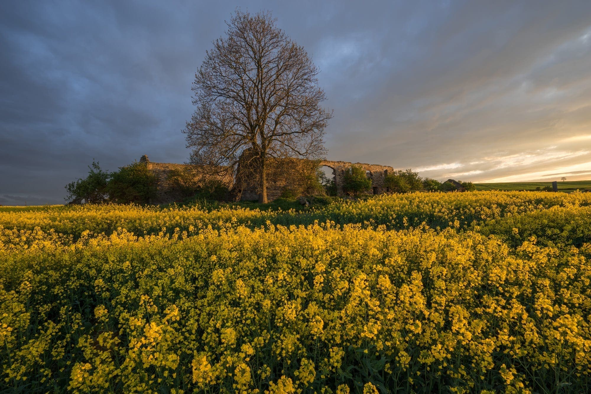 Lodge Farm Sunset - Derbyshire Photography