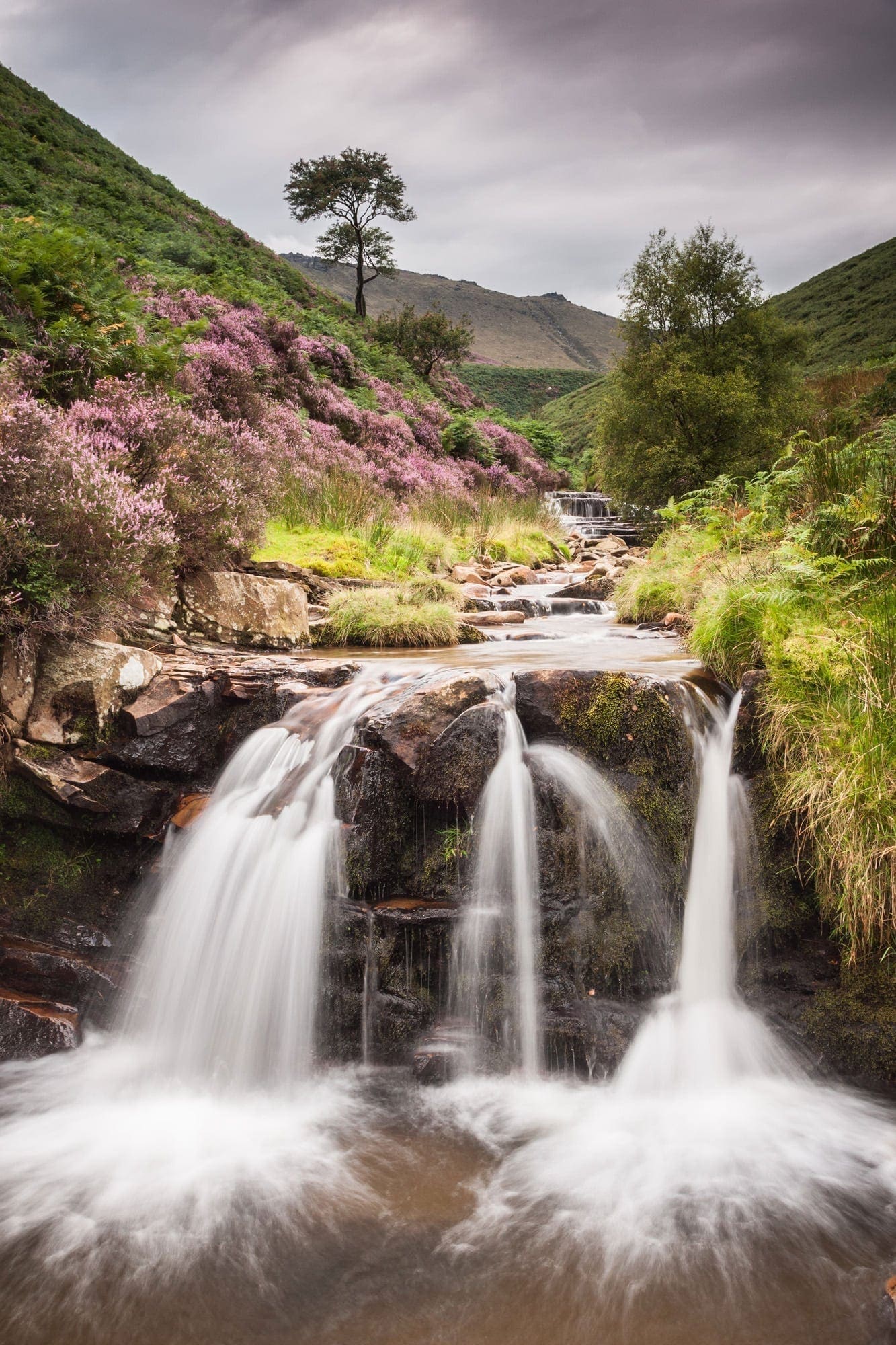 Trident Waterfall - Fair Brook - Heather in the Peak District Photography Workshop