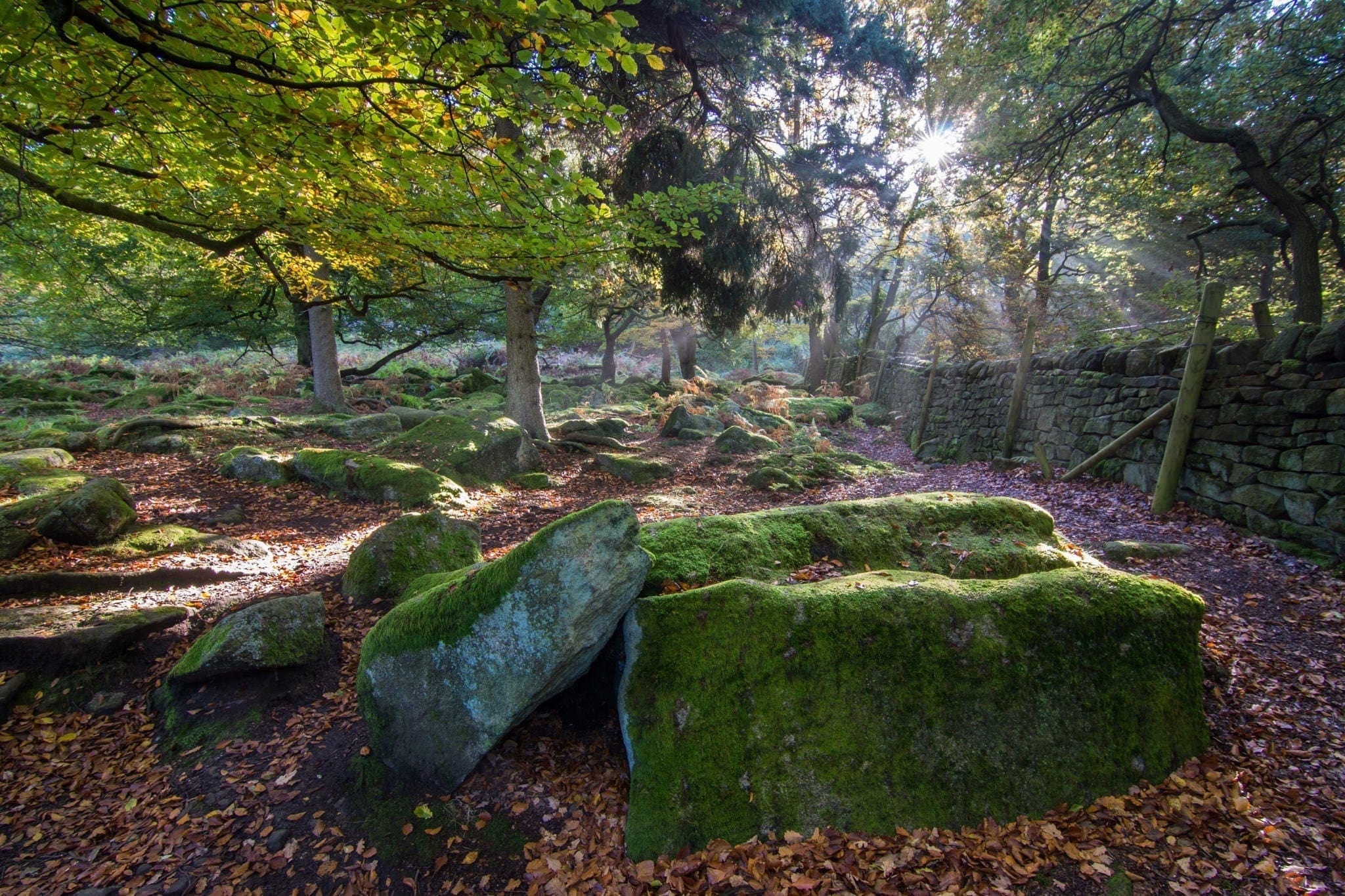 Padley Gorge Mist and Sun Rays -  Peak District Photography Workshop