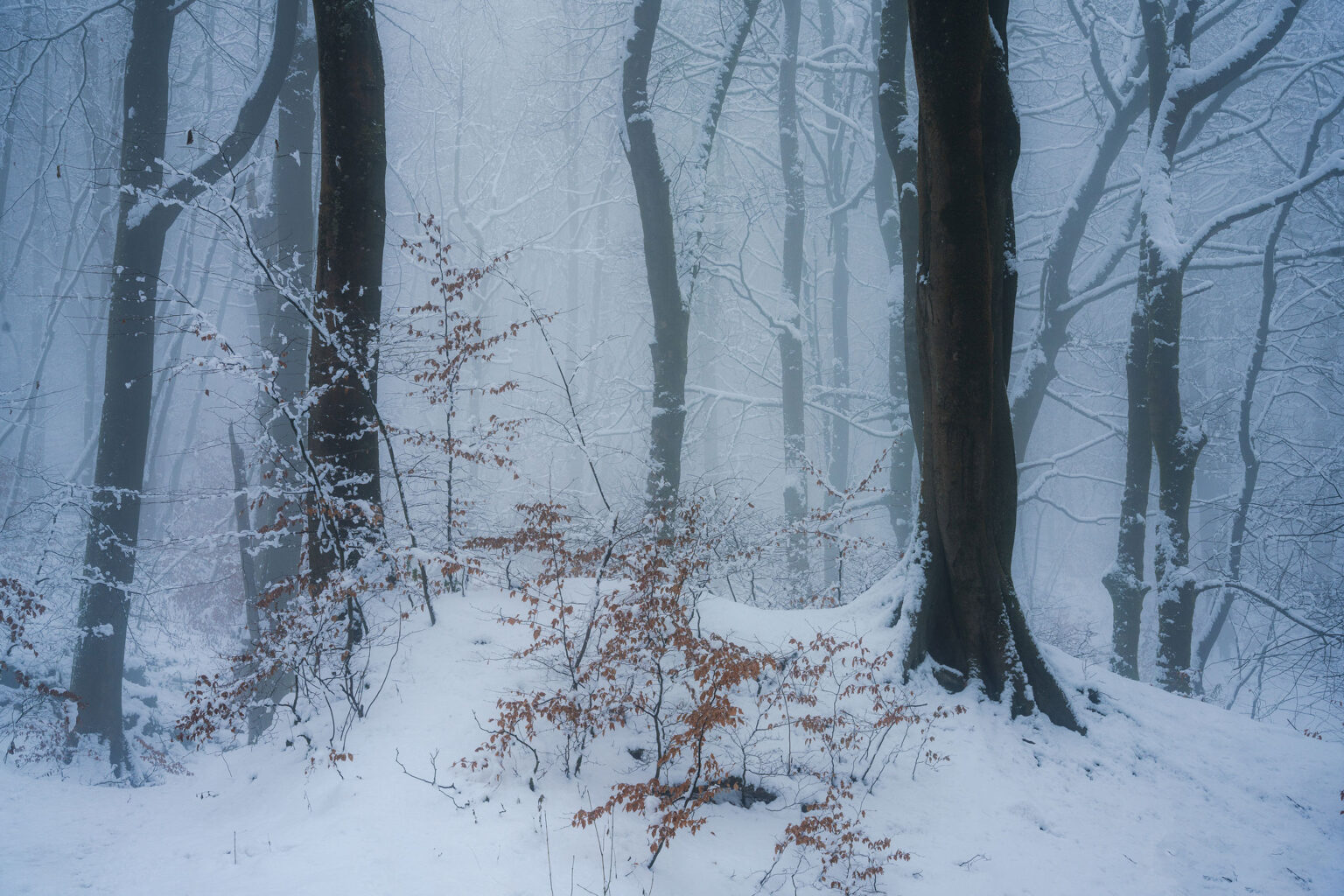 Winter in the Peak District Photography Workshop