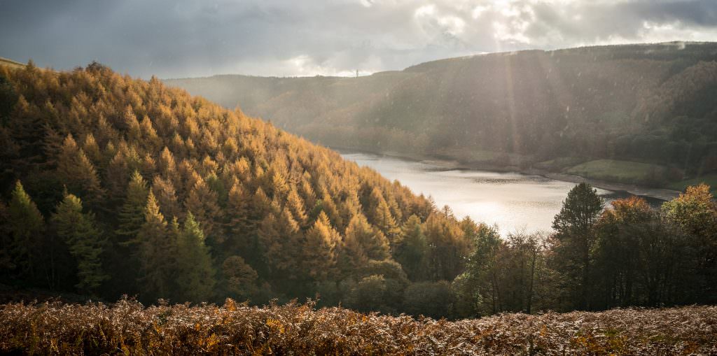 Derwent Reservoir Autumn - Peak District Photography