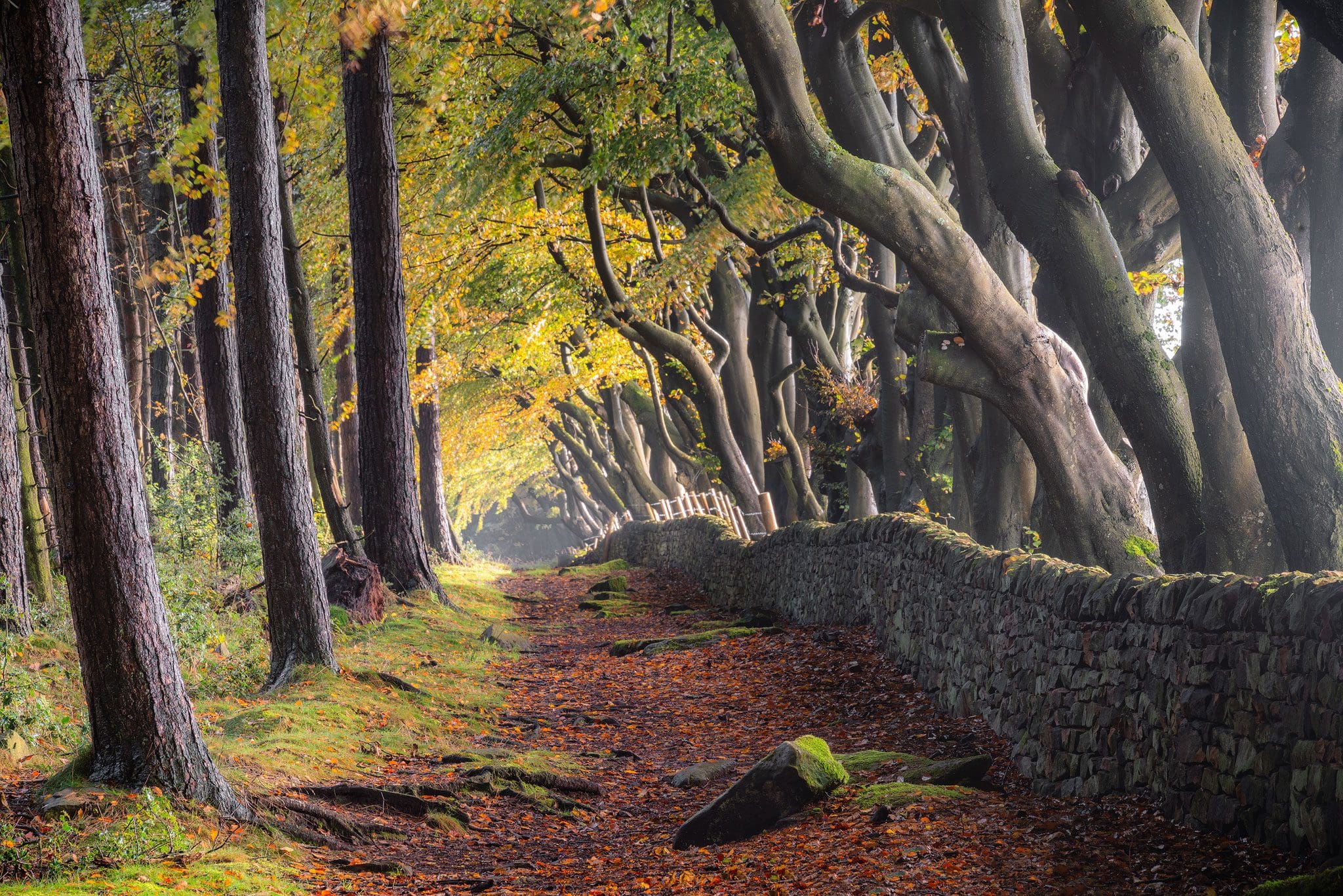 Autumn in the Peak District Landscape Photography Workshop