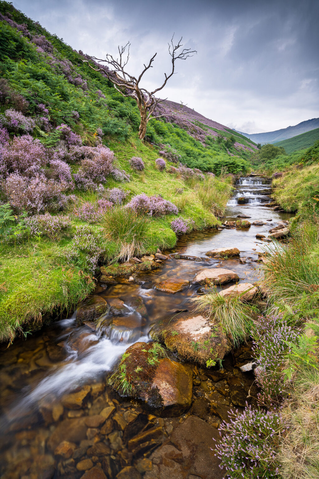 Fair Brook – Peak District Photography Heather Photography Workshop