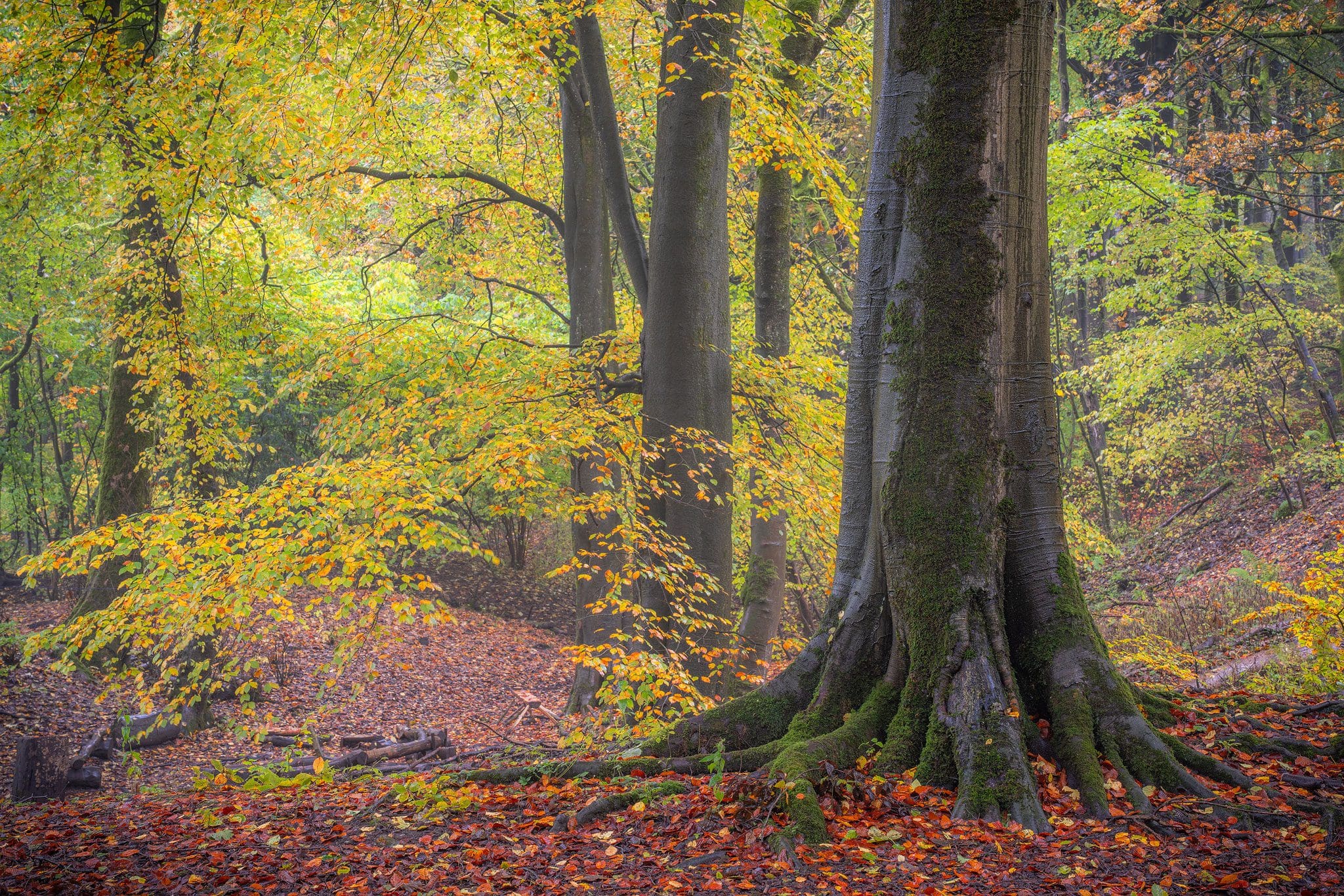 Autumn in the Peak District Landscape Photography Workshop