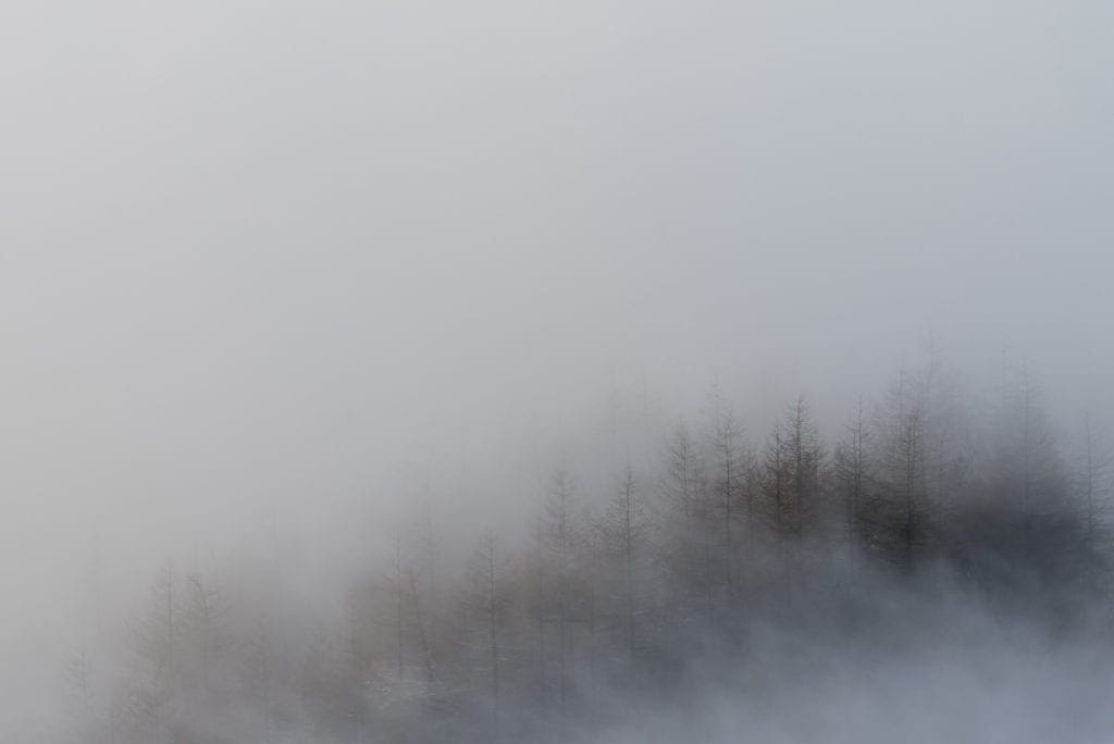 Mam Nick Car Park trees in fog - Mam Tor Photography Location Guide