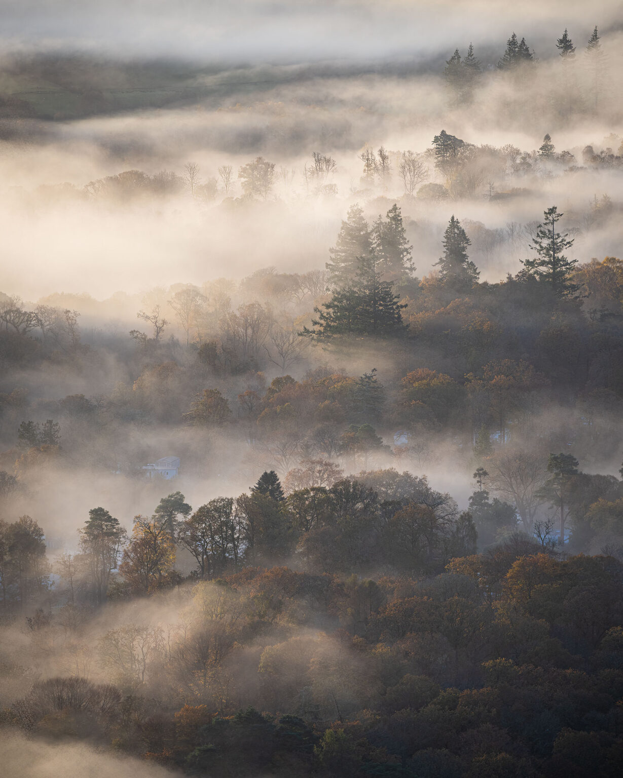 Autumn Fog - Lake District Photography Autumn Fog - Lake District Photography
