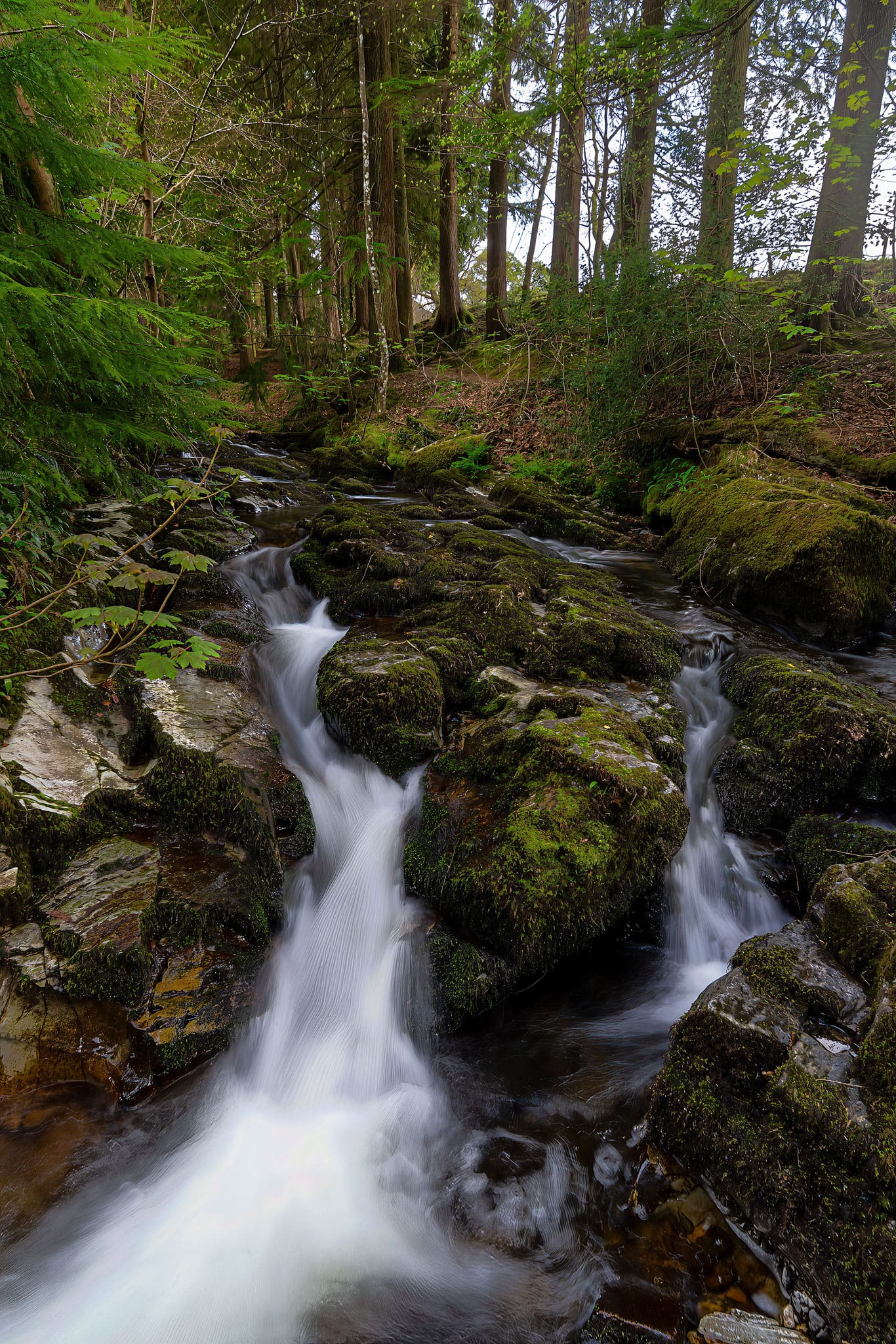 Coed Y Brenin Stream - Eryri Landscape Photography