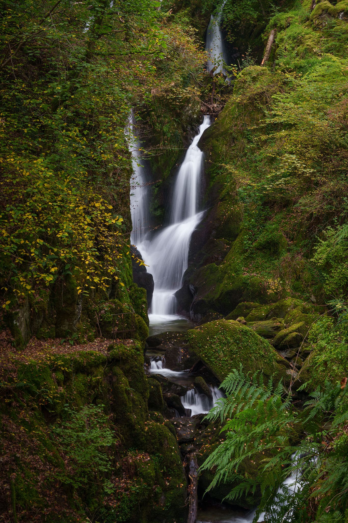 Stock Ghyll Waterfall - Lake District Photography Workshop Residential Tour